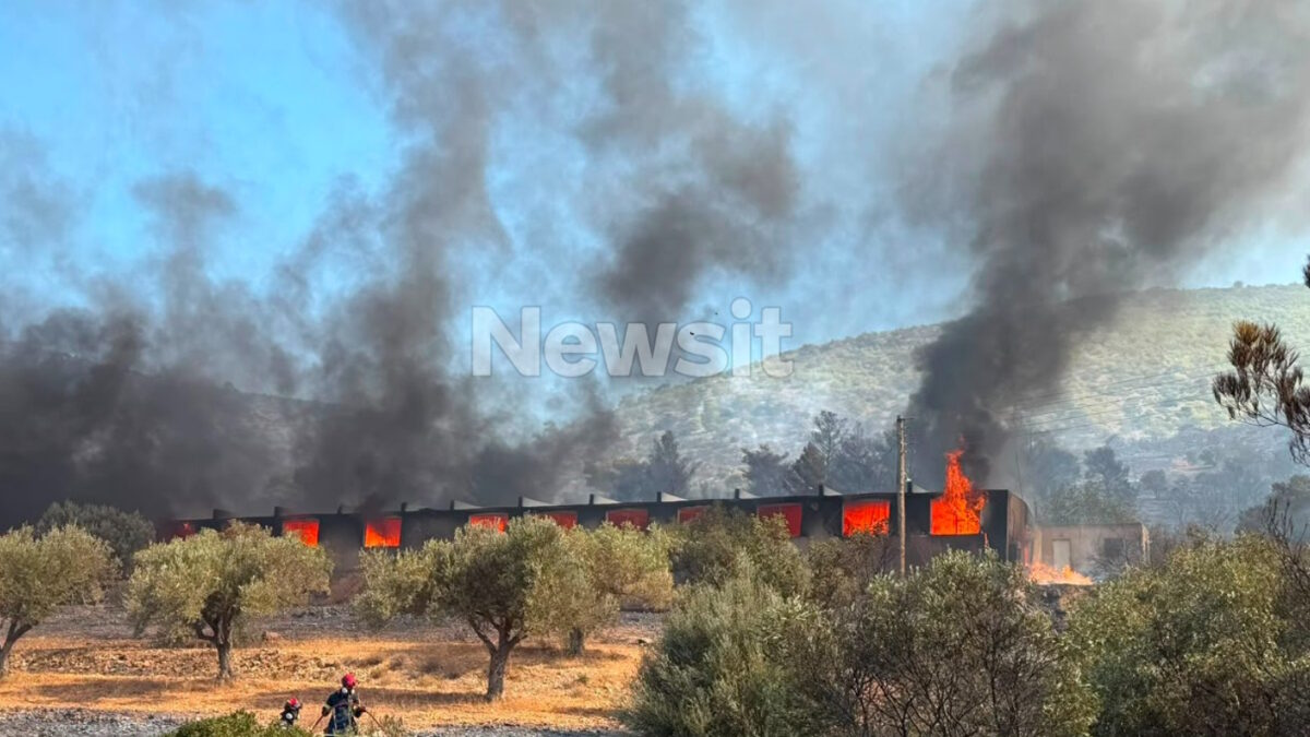Φωτιά στον Κουβαρά Αττικής: Μήνυμα του 112 για εκκένωση του Αγίου Στυλιανού προς Καλύβια – Διακοπή κυκλοφορίας στη Λεωφόρο Λαυρίου