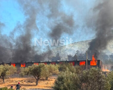 Φωτιά στον Κουβαρά Αττικής: Μήνυμα του 112 για εκκένωση του Αγίου Στυλιανού προς Καλύβια – Διακοπή κυκλοφορίας στη Λεωφόρο Λαυρίου