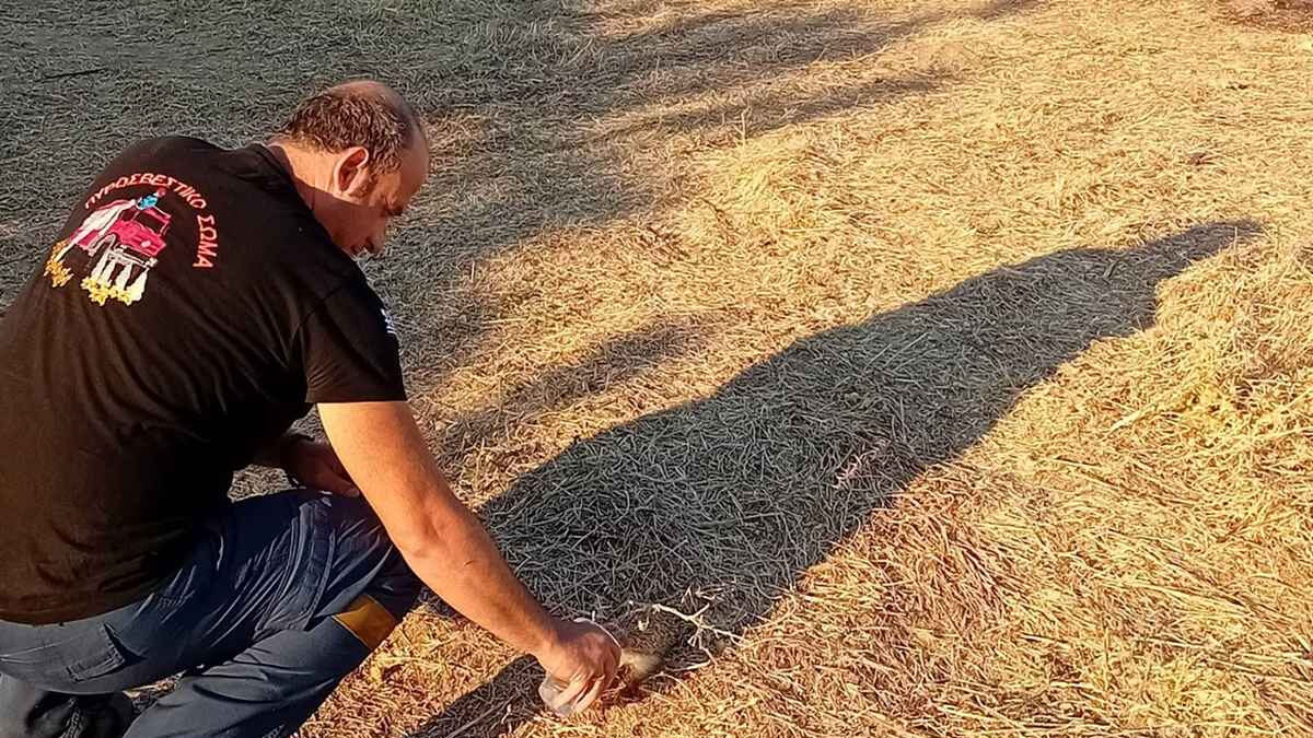 Πυροσβέστης δίνει νερό σε σκαντζόχοιρο μετά τη φωτιά στη Λήμνο