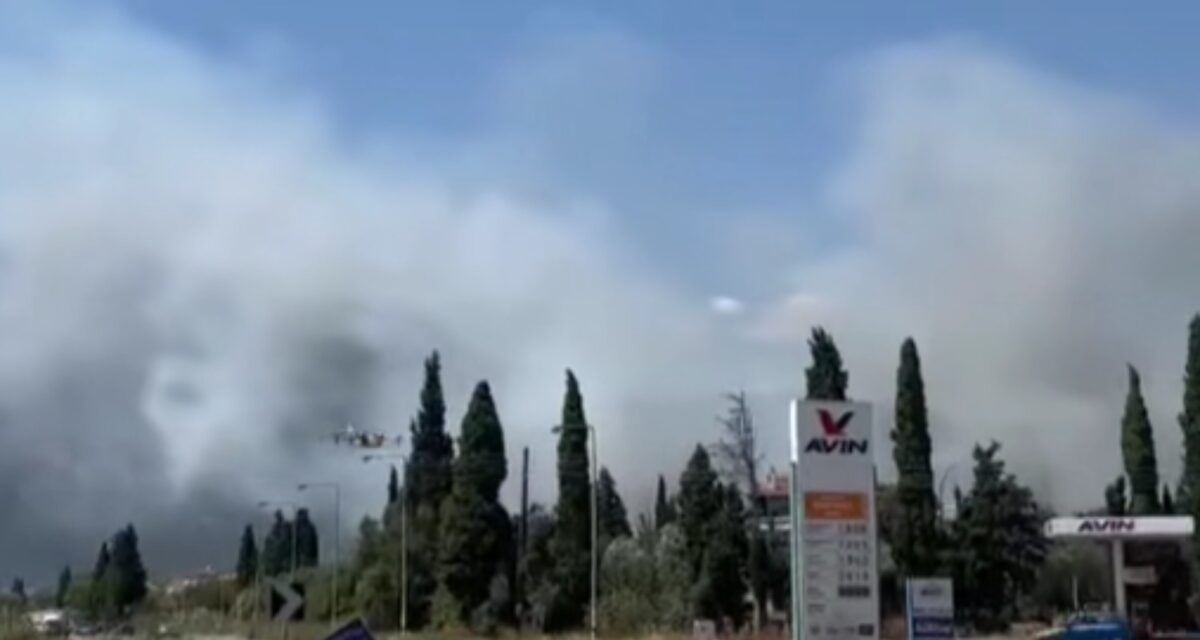 Φωτιά στην Αιτωλοακαρνανία στην περιοχή Μακύνεια