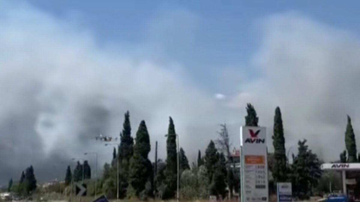 Φωτιά στην Αιτωλοακαρνανία στην περιοχή Μακύνεια