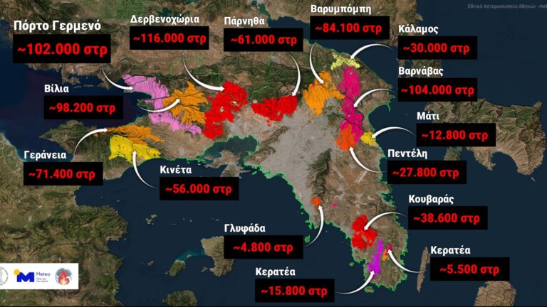 Το 42% των δασών κάηκε μέσα στα 10 τελευταία χρόνια