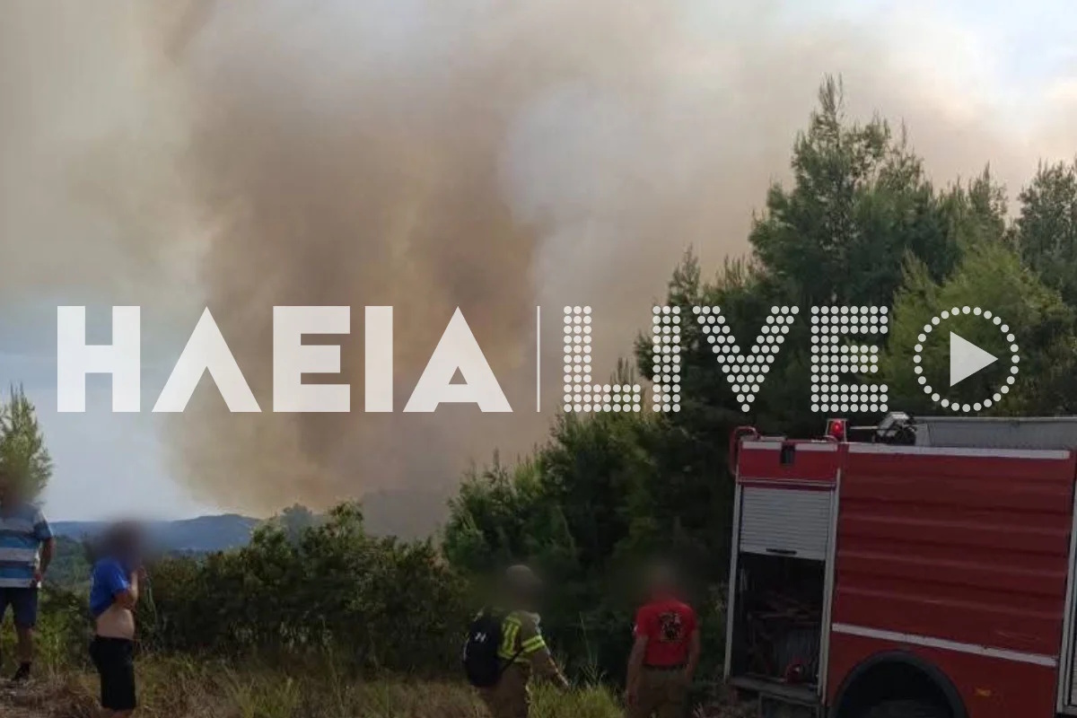 Φωτιά στο Μουζάκι Ηλείας – Μεγάλη κινητοποίηση της Πυροσβεστικής | Επικαιρότητα στο PlusTV.gr