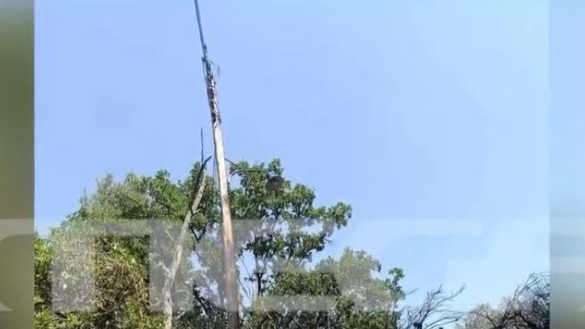 Το σημείο 0 της φωτιάς στην Χαλκιδική