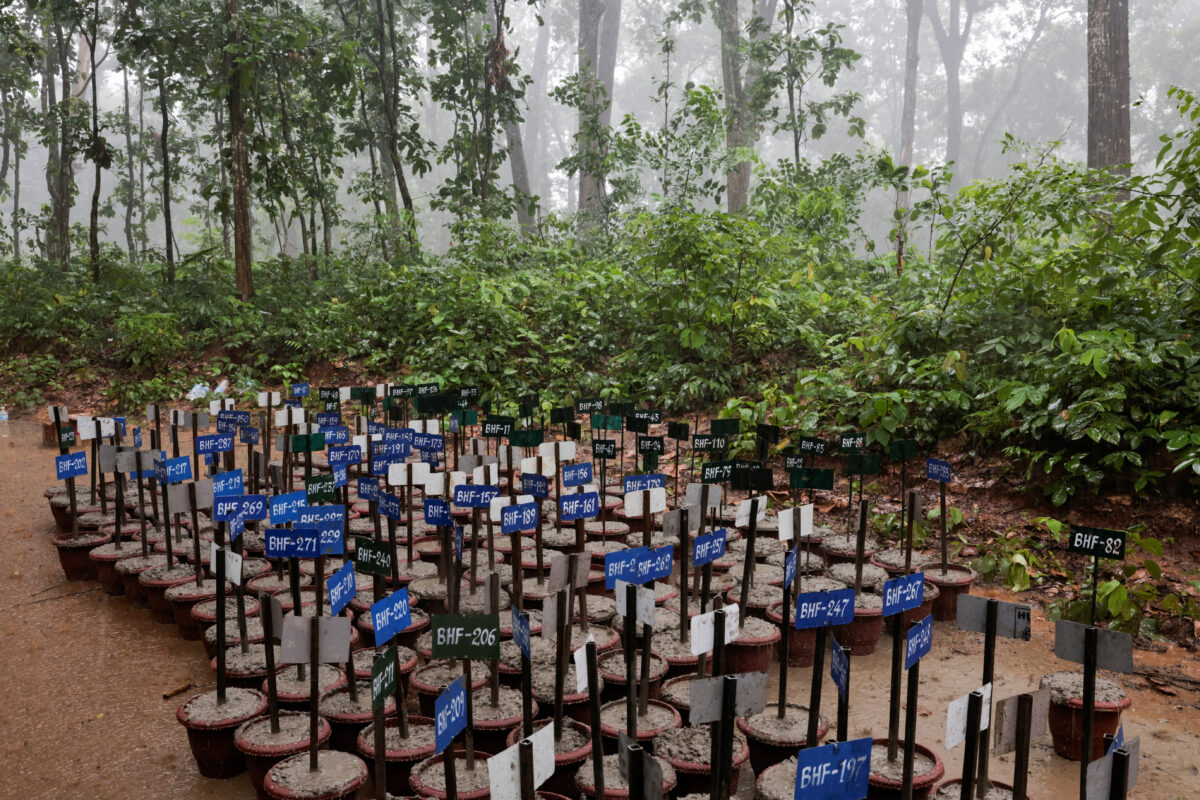 Identification number tags for bodies at the Devghat mass burial site for victims of deadly flash floods and mudslides, in Chitwan, Nepal, August 30, 2026. REUTERS