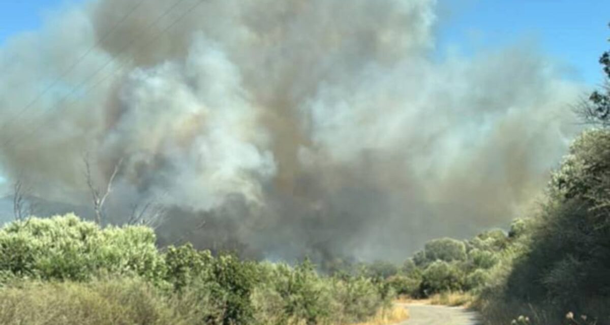 Φωτιά στο Νεοχώρι Μεσσηνίας - Επιχειρούν εναέρια μέσα