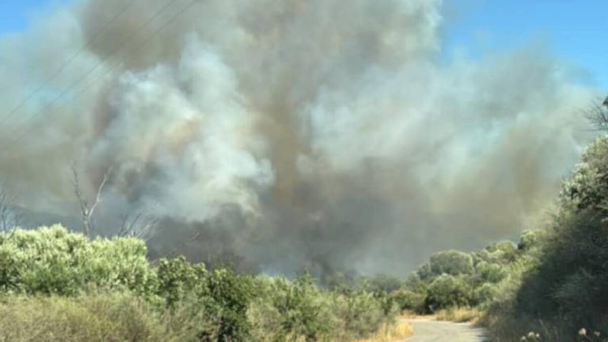 Φωτιά στο Νεοχώρι Μεσσηνίας