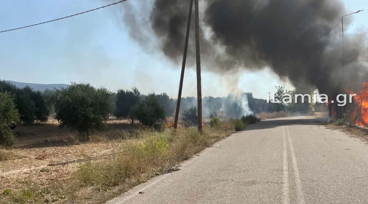 Φωτο ilamia.gr