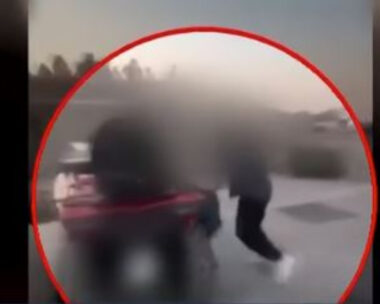 Στιγμιότυπο από τον ξυλοδαρμό στην Πάρο