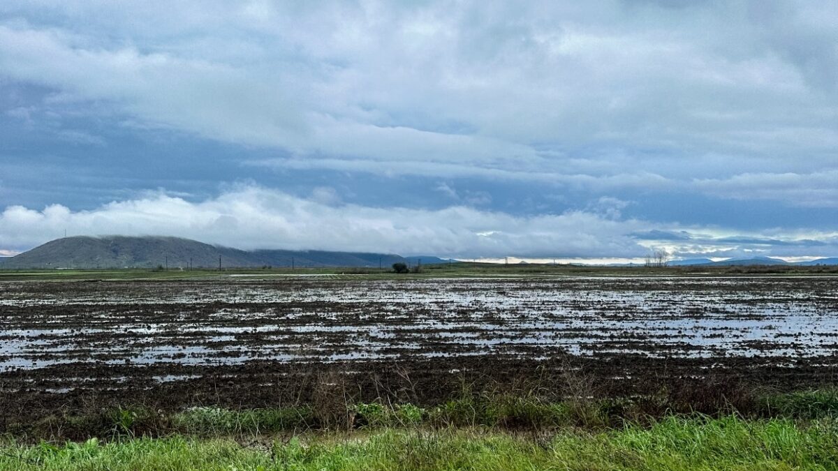 Χωράφι πλημμυρισμένο