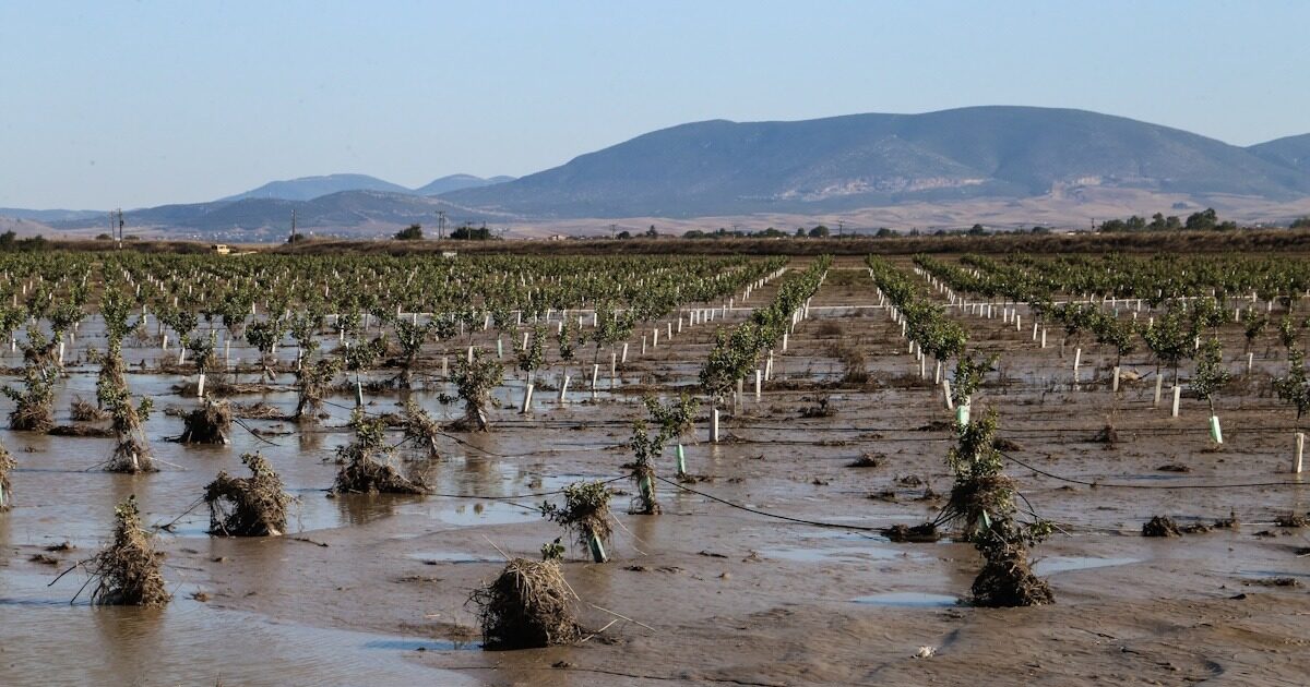 ΕΛΓΑ: Προσλήψεις 60 γεωπόνων για τις εκτιμήσεις των ζημιών από φυσικές καταστροφές