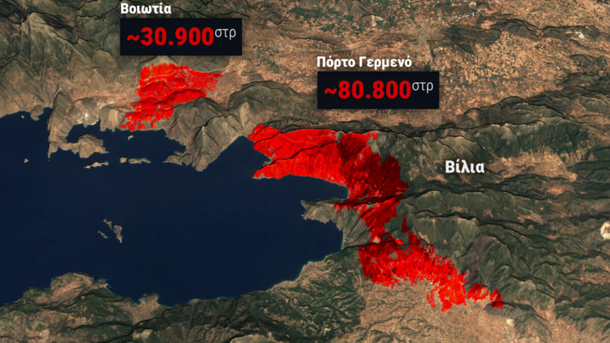 Φωτιές σε Αττική και Βοιωτία: Πάνω από 111.000 στρέμματα έγιναν στάχτη – Αποκαλυπτική δορυφορική εικόνα