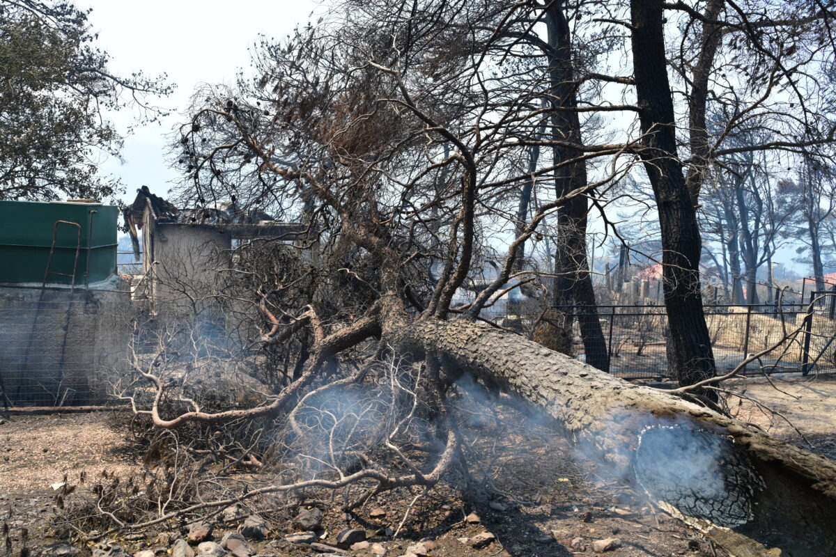Συνεχίζεται για 2η ημέρα η μεγάλη πυρκαγιά στην Βοιωτία στην ευρύτερη περιοχή του Κορινθιακού κόλπου, από την Δομβραίνα εως το Πόρτο Γερμενό, Σάββατο 1 Αυγούστου 2026 (ΤΑΤΙΑΝΑ ΜΠΟΛΑΡΗ