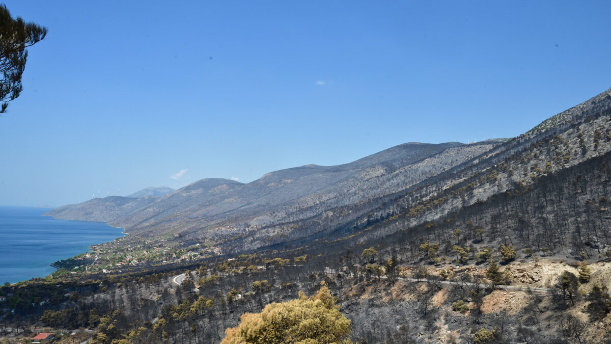 Καμένη έκταση στο Πόρτο Γερμενό