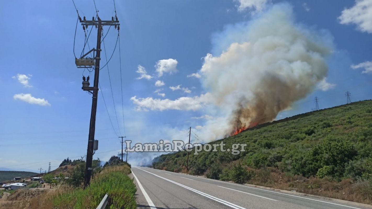 Φωτιά στην Καμηλόβρυση: Έχει περάσει την παλιά εθνική οδό Λαμίας – Λάρισας