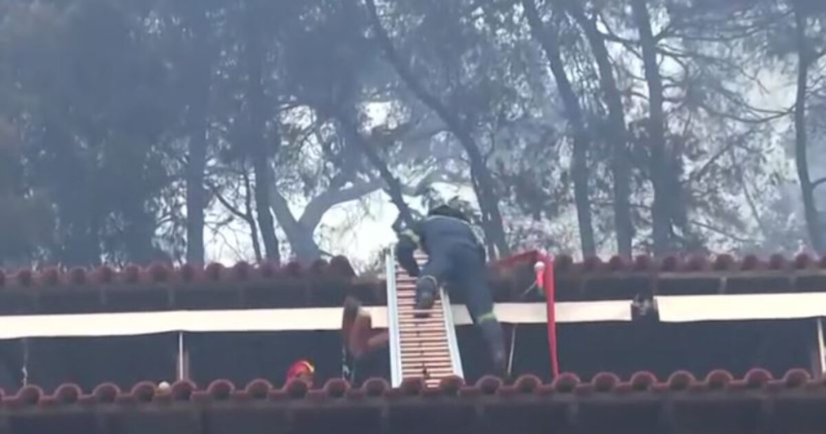 Φωτιά στη Χαλκιδική: Η στιγμή που πυροσβέστης χάνει την ισορροπία του και πέφτει από σκάλα σε σκεπή