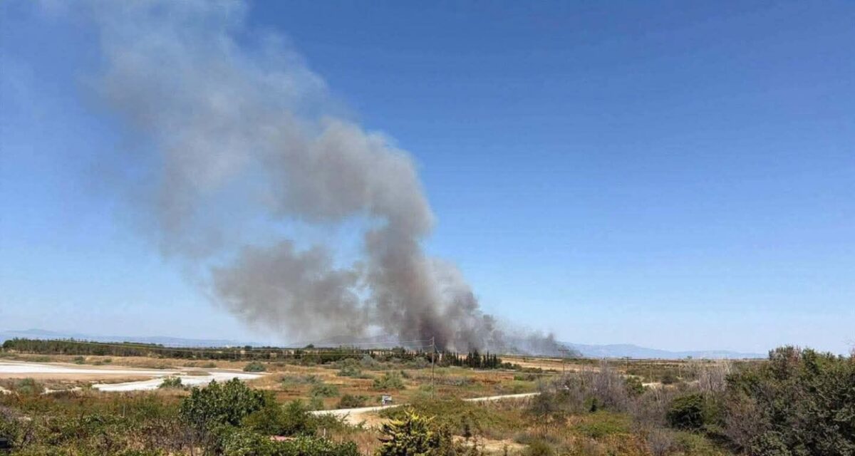 Φωτιά στη Ροδόπη στην περιοχή Ίμερος