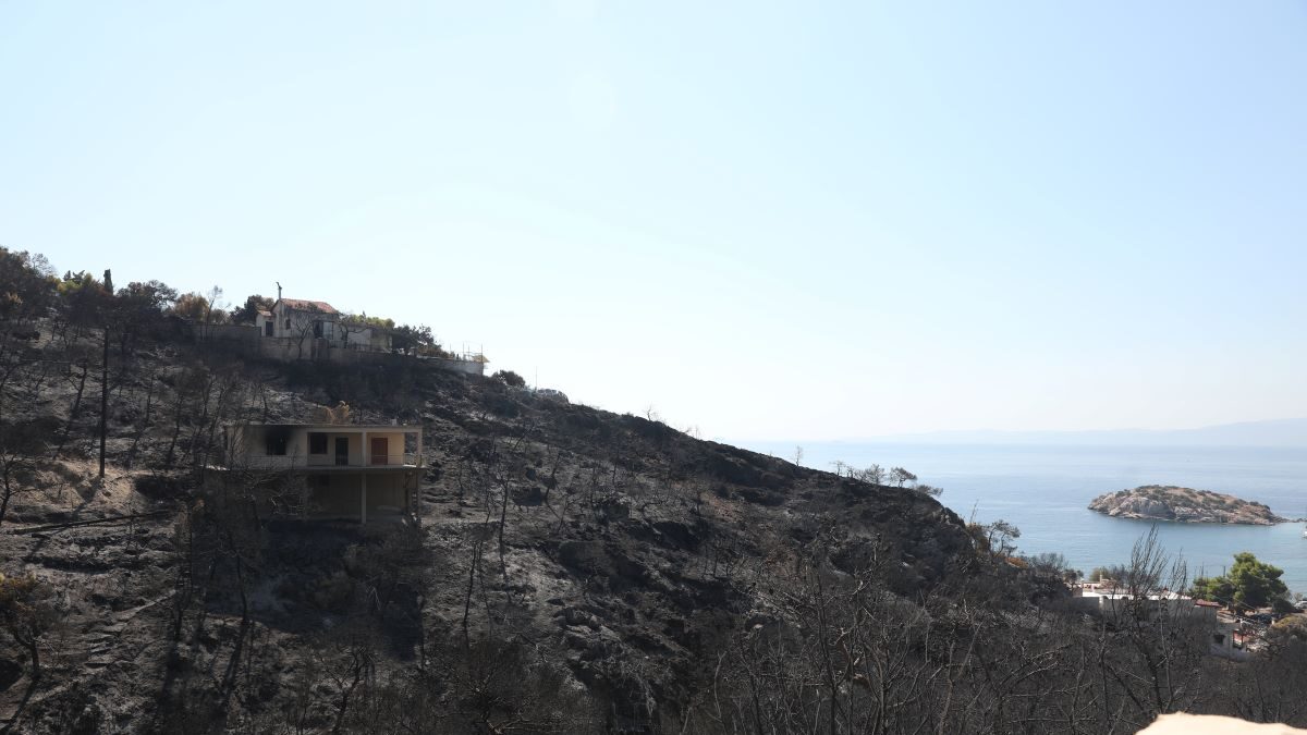 Καμένη έκταση στη Σαλαμίνα