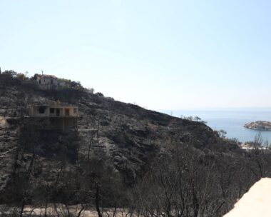 Καμένη έκταση στη Σαλαμίνα