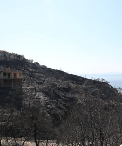 Καμένη έκταση στη Σαλαμίνα