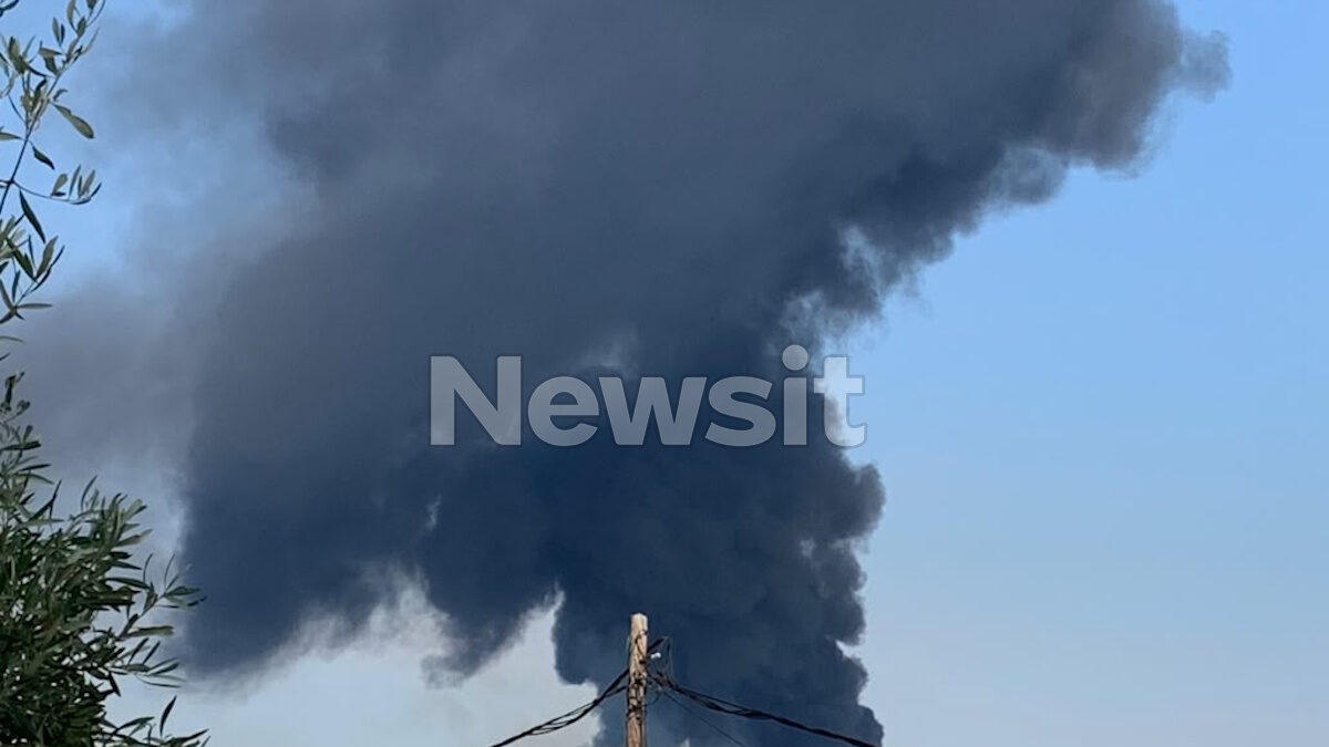 Φωτιά στο Ελληνικό Σαλαμίνας, κοντά στον Ναύσταθμο – Μήνυμα του 112 για εκκένωση περιοχών