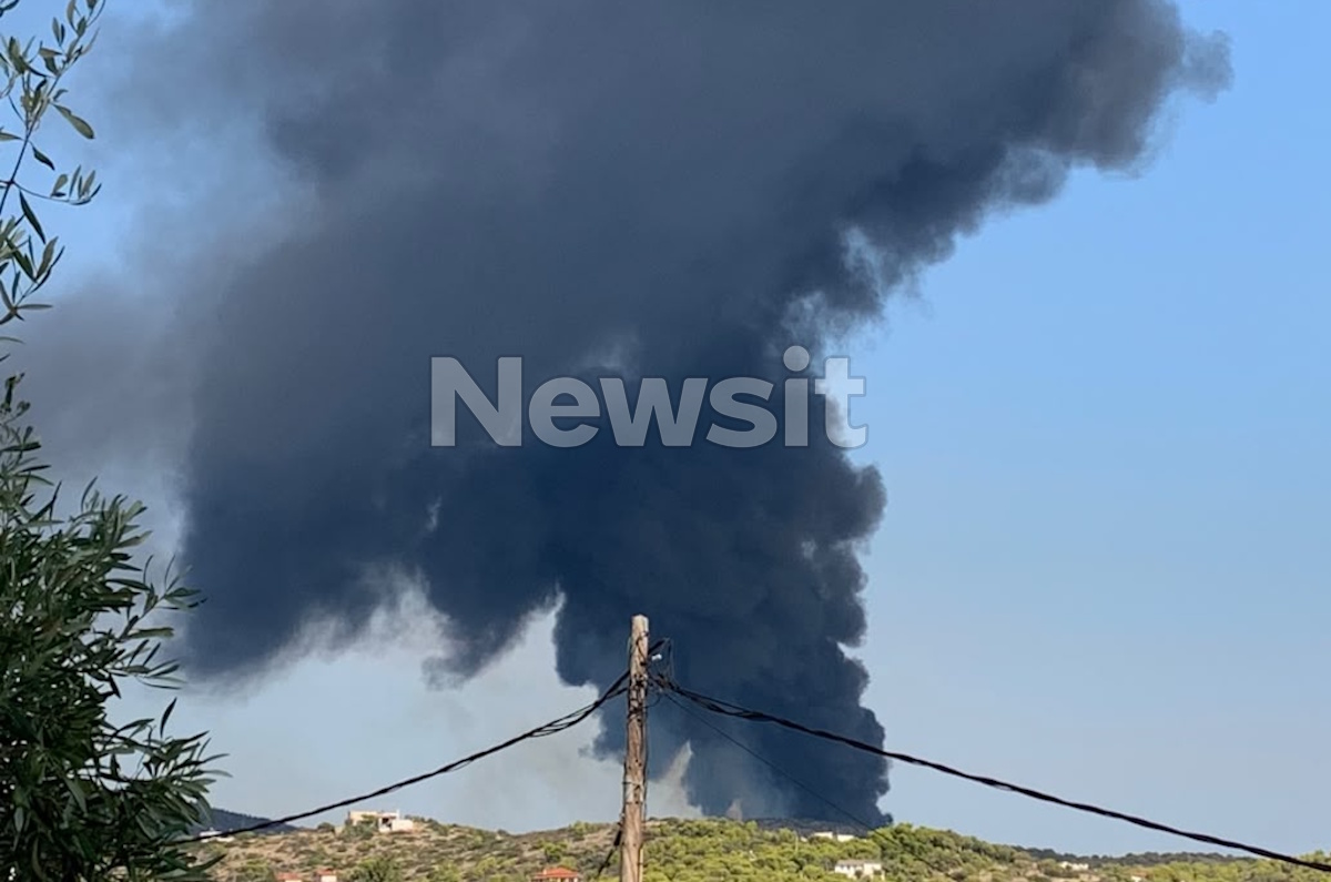 Φωτιά στο Ελληνικό Σαλαμίνας, στο όριο του Ναυστάθμου - Μήνυμα του 112 για εκκένωση περιοχών και ενίσχυση των πυροσβεστικών δυνάμεων