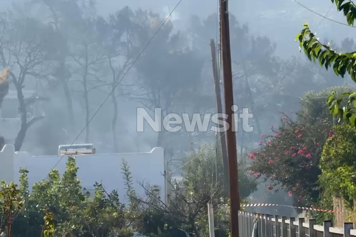 Φωτιά στη Σαλαμίνα: Το σημείο που βρέθηκαν οι δύο νεκροί – Η πυρκαγιά ξεκίνησε από οικόπεδο γεμάτο σκουπίδια