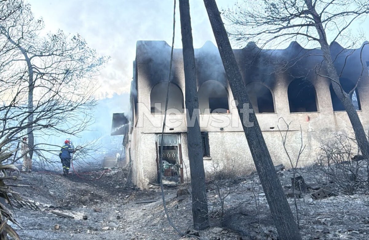 ΣΥΡΙΖΑ: Πυρά κατά της κυβέρνησης μετά τη φονική πυρκαγιά στη Σαλαμίνα | Επικαιρότητα στο PlusTV.gr