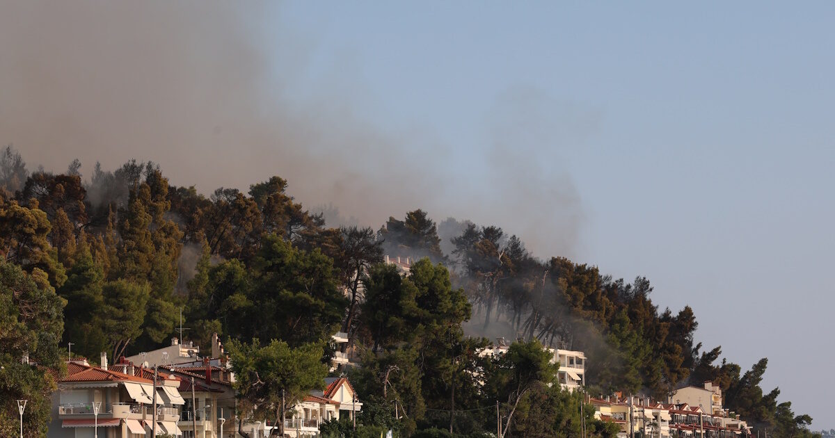 Κρατική αρωγή: Μέχρι 12 Οκτωβρίου οι αιτήσεις από επιχειρήσεις της Χαλκιδικής που επλήγησαν από την πυρκαγιά