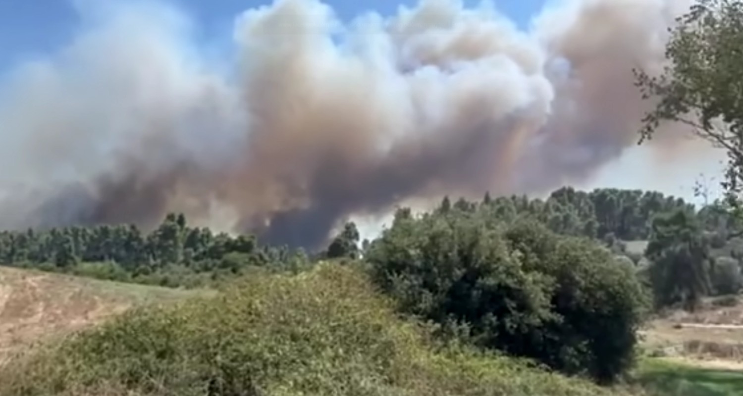 Μεγάλη φωτιά στη Σίβηρη Χαλκιδικής: Μήνυμα του 112 για εκκένωση της Σίβηρης και της Φούρκα