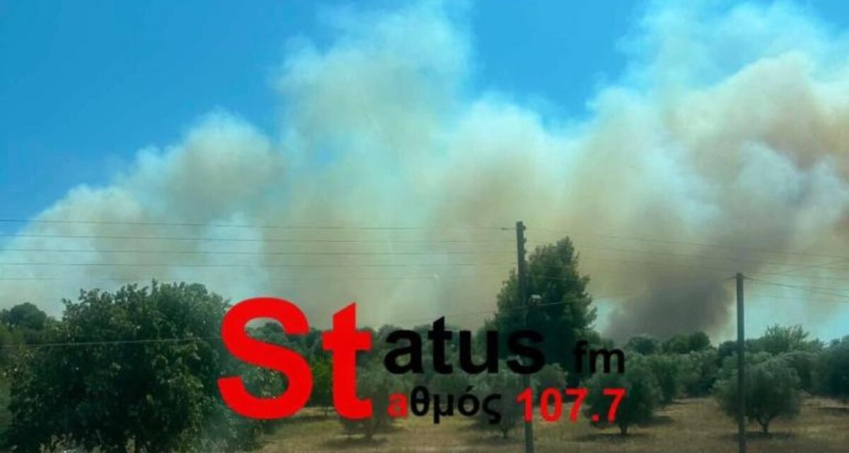 Φωτιά στη Σίβηρη Χαλκιδικής