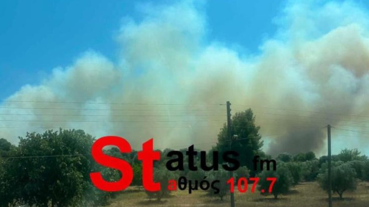 Φωτιά στη Σίβηρη Χαλκιδικής
