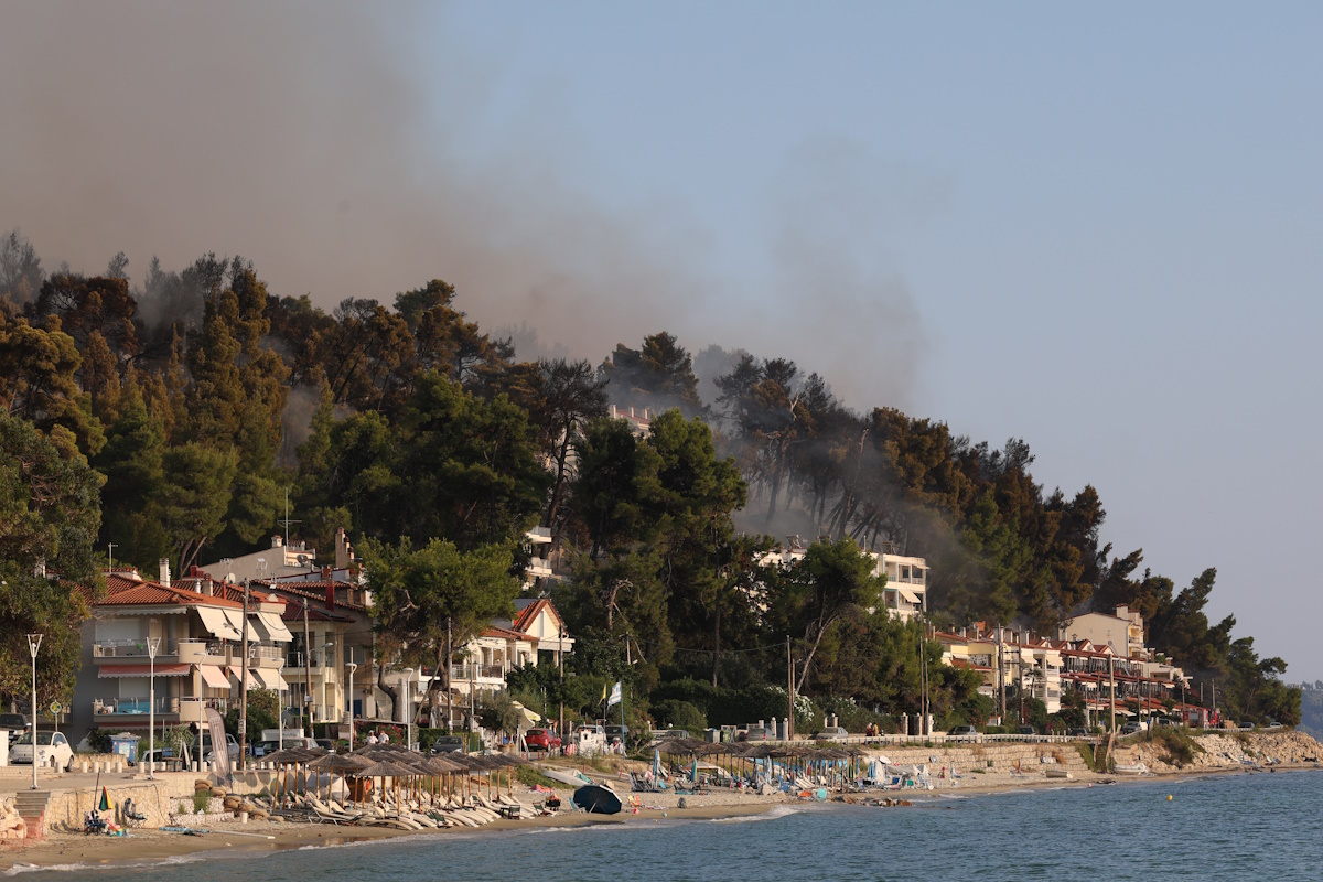 Κρατική αρωγή: Μέχρι 12 Οκτωβρίου οι αιτήσεις από επιχειρήσεις της Χαλκιδικής που επλήγησαν από την πυρκαγιά - Τα δικαιολογητικά