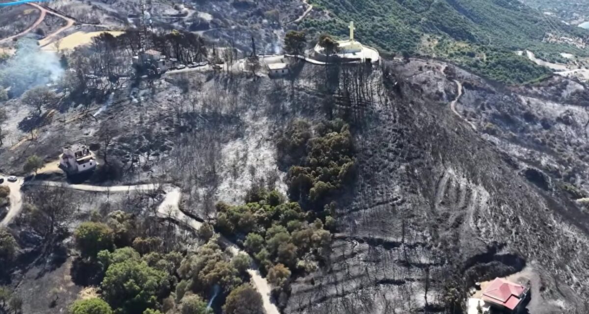 Φωτιά στη Φωκίδα: Συγκλονιστικές εικόνες από drone με τις καταστροφές στο Σκάλωμα