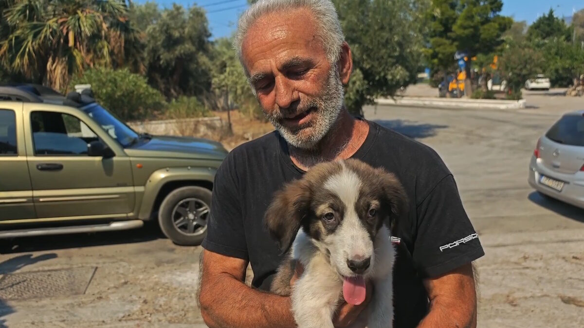 Ο Μάρκος και ο σκύλος Μπρούνο που σώθηκε από τη φωτιά στο Πόρτο Γερμενό