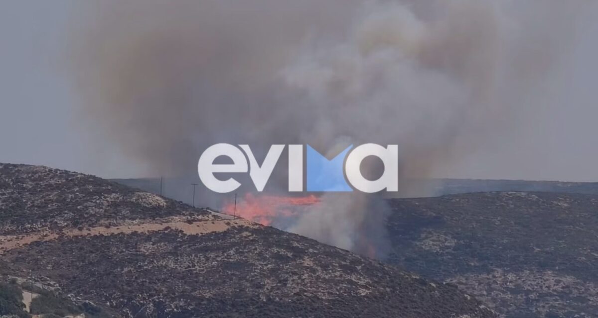 Φωτιά στη Σκύρο - Ισχυρές δυνάμεις της Πυροσβεστικής