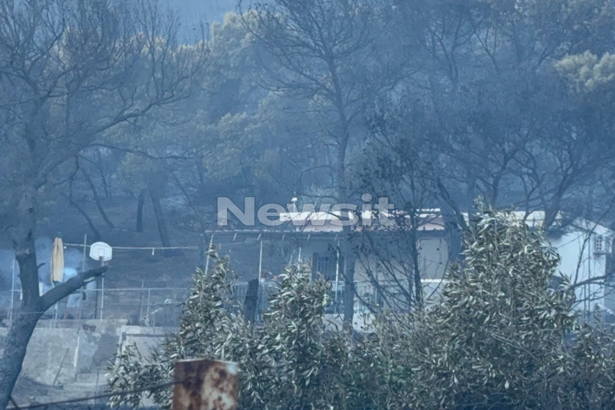 Φωτιά στη Σαλαμίνα: «Μας πήρανε τηλέφωνο και μας είπαν ελάτε γρήγορα καίγονται», λέει συγγενής του ζευγαριού που έχασε την ζωή του
