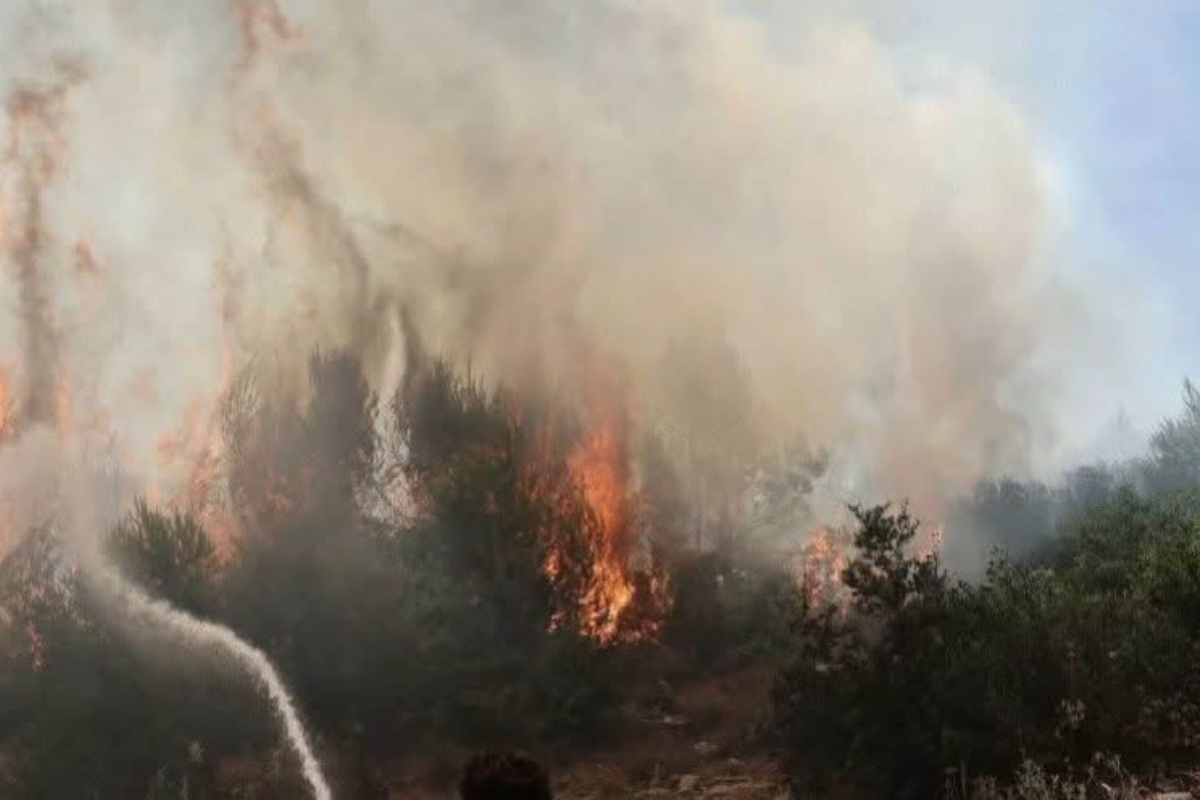 Φωτιά στο Στεφάνι Κορινθίας