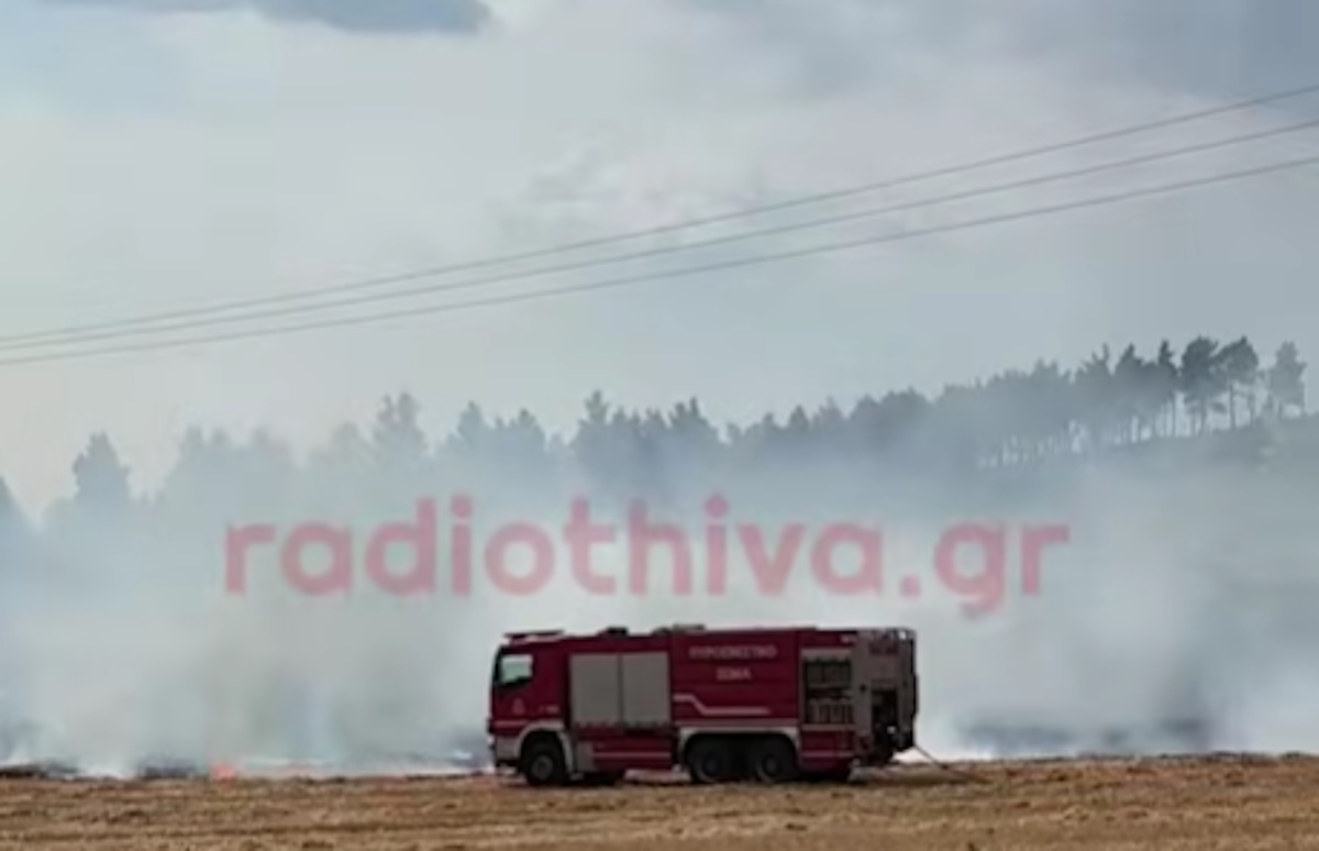 Φωτιά στη Θήβα - Σηκώθηκαν 2 αεροσκάφη και 1 ελικόπτερο