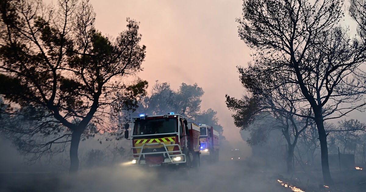 Σύλληψη δημάρχου για τη φωτιά στη Βοιωτία: «Στη δικαιοσύνη δεν χωρούν Ιφιγένειες» – Η απάντηση του δικηγόρου του