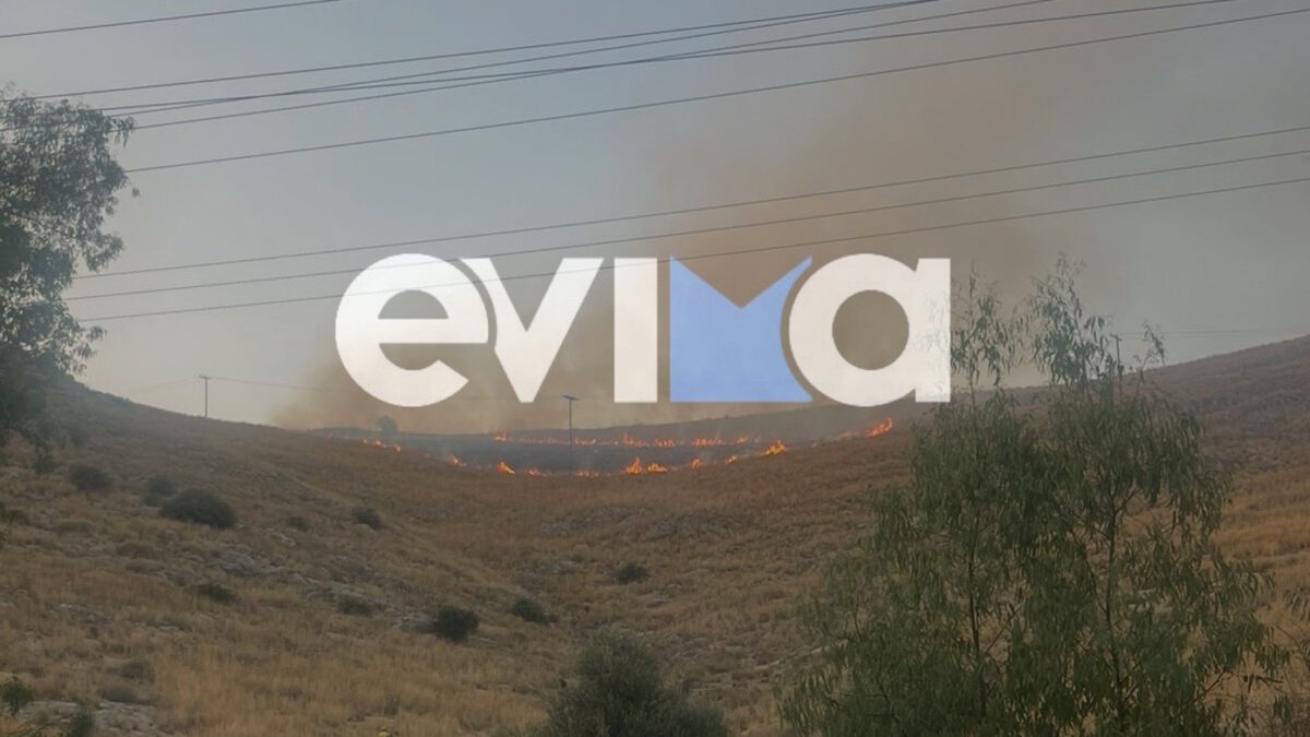 ΦΩΤΟ από το Evima