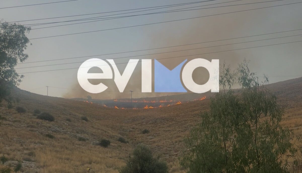 ΦΩΤΟ από το Evima