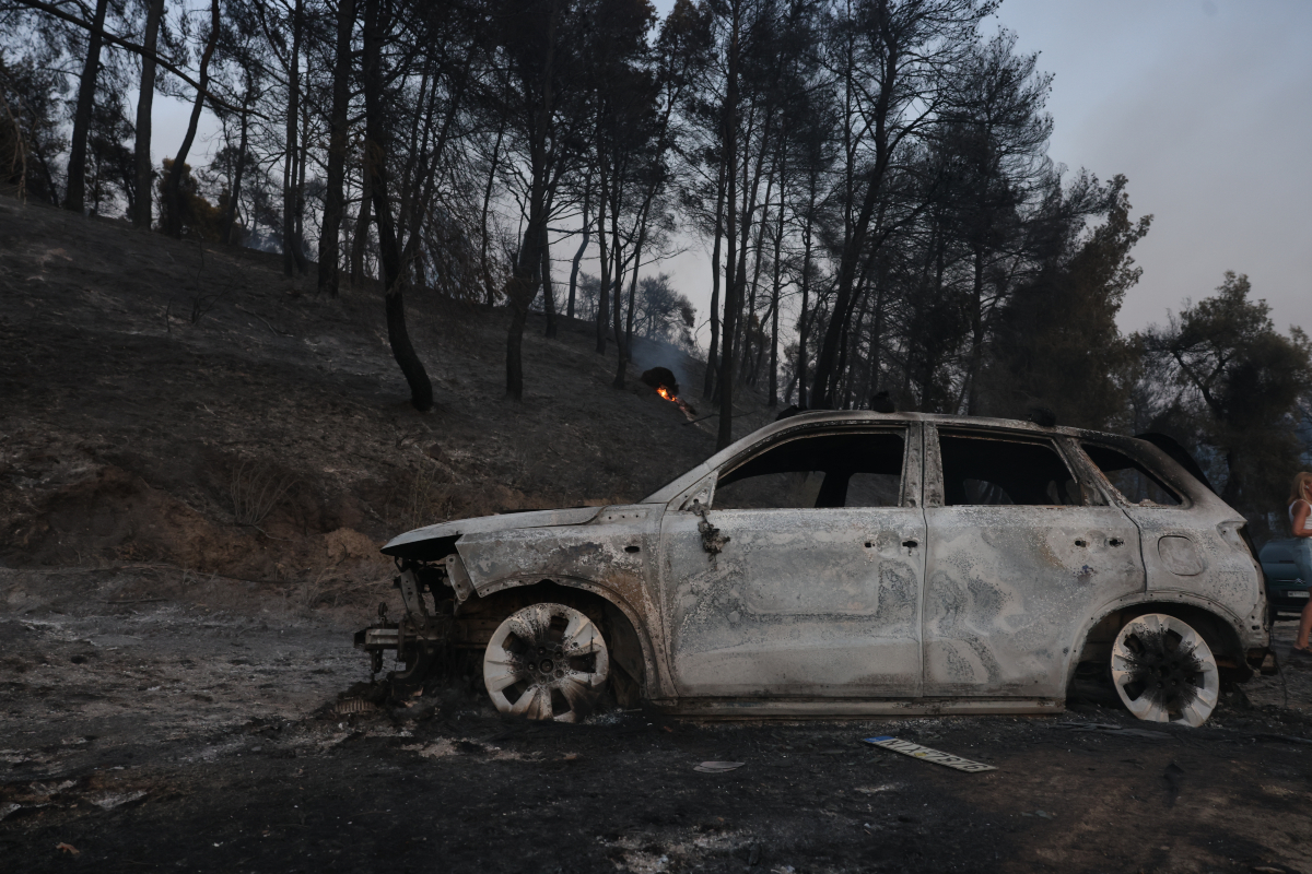 ΠΥΡΚΑΓΙΑ ΣΤΗ ΠΕΡΙΟΧΗ ΣΙΒΗΡΗ ΣΤΗ ΧΑΛΚΙΔΙΚΗ (ΒΑΣΙΛΗΣ ΒΕΡΒΕΡΙΔΗΣ / ΜΟΤΙΟΝΤΕΑΜ)
