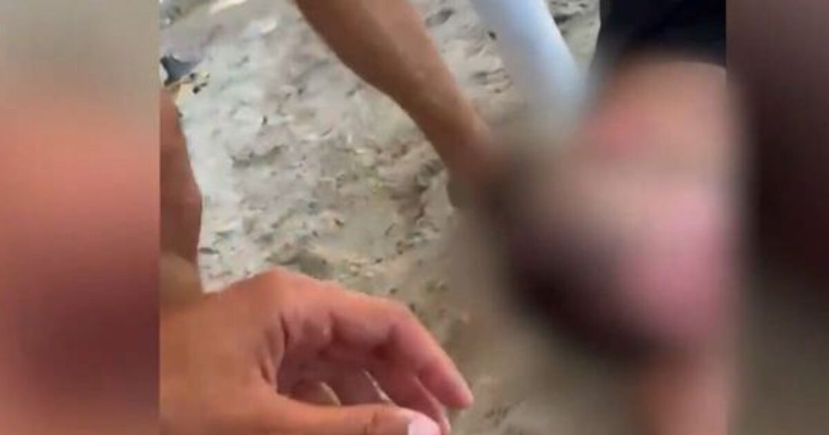 Φωτιά στην Χαλκιδική: Η στιγμή που ναυγοσώστης σώζει πυροσβέστη που έχασε τις αισθήσεις του στην παραλία