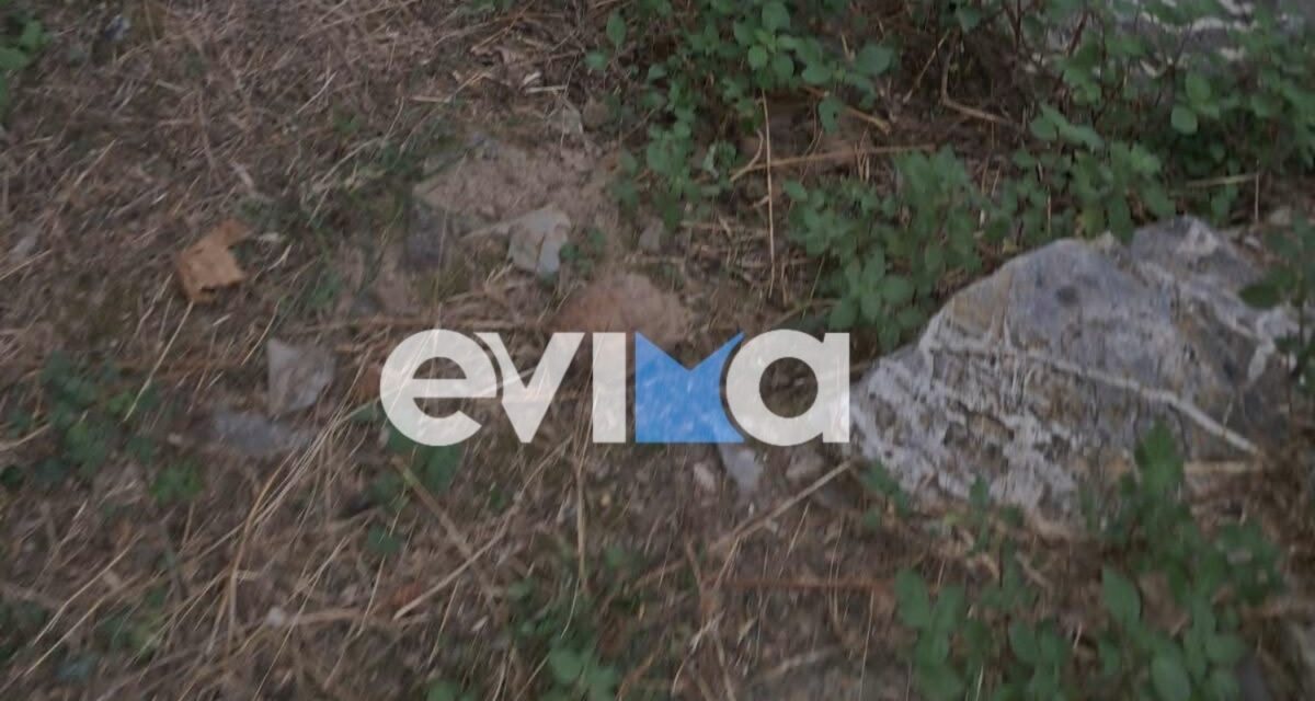 Εύβοια: Χειροβομβίδα του Β΄ Παγκοσμίου Πολέμου βρέθηκε σε παλιά αποθήκη