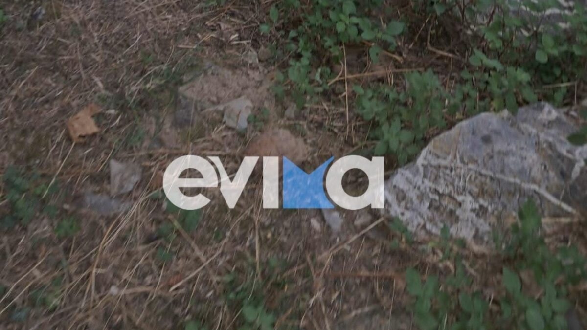 Χειροβομβίδα του Β΄ Παγκοσμίου Πολέμου βρέθηκε σε παλιά αποθήκη στην Εύβοια