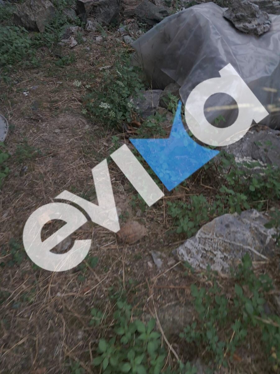 xeiromvovida evima