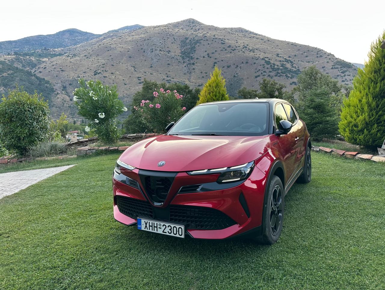 alfa-elettrica-test