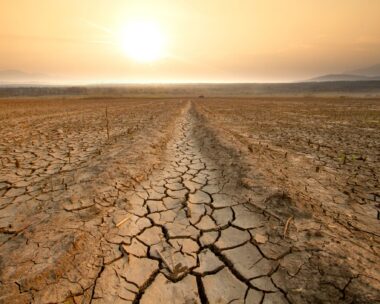iStock