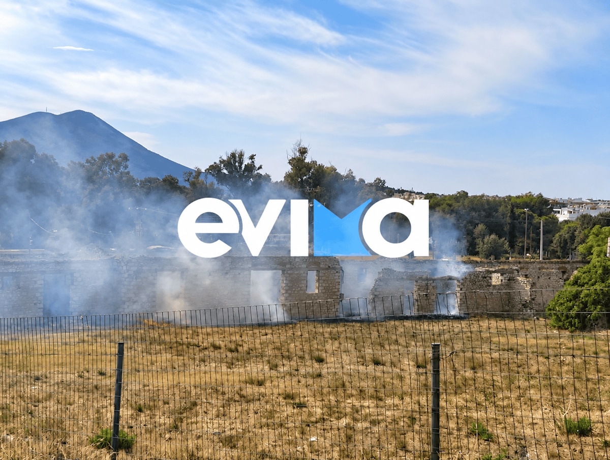 Φωτιά στη Χαλκίδα δίπλα σε κατοικημένη περιοχή: Φωτογραφίες από το σημείο